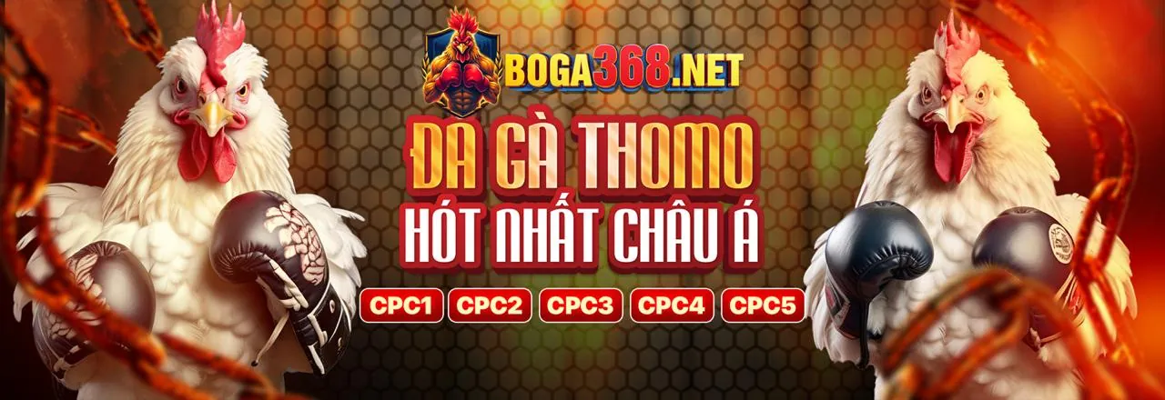 Hình ảnh tổng quan các trò chơi cá cược tại sv388link link vào